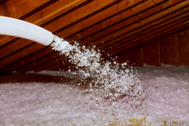 Best Garage Insulation Installation  in Three Points, AZ