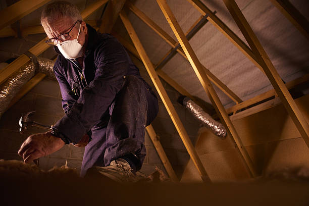 Best Insulation Removal Services  in Three Points, AZ